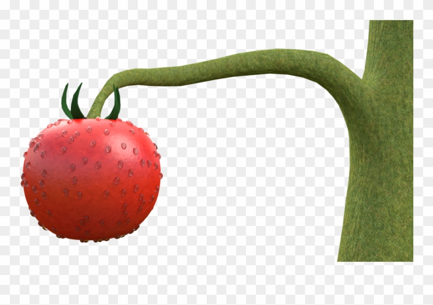 Tomato Plant Wip Clipart
