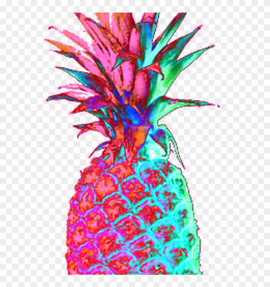 Transparent Pineapple Tumblr Clipart
