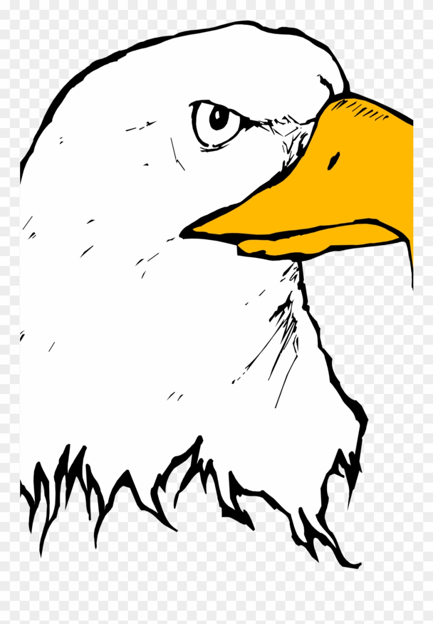 Eagle Clipart