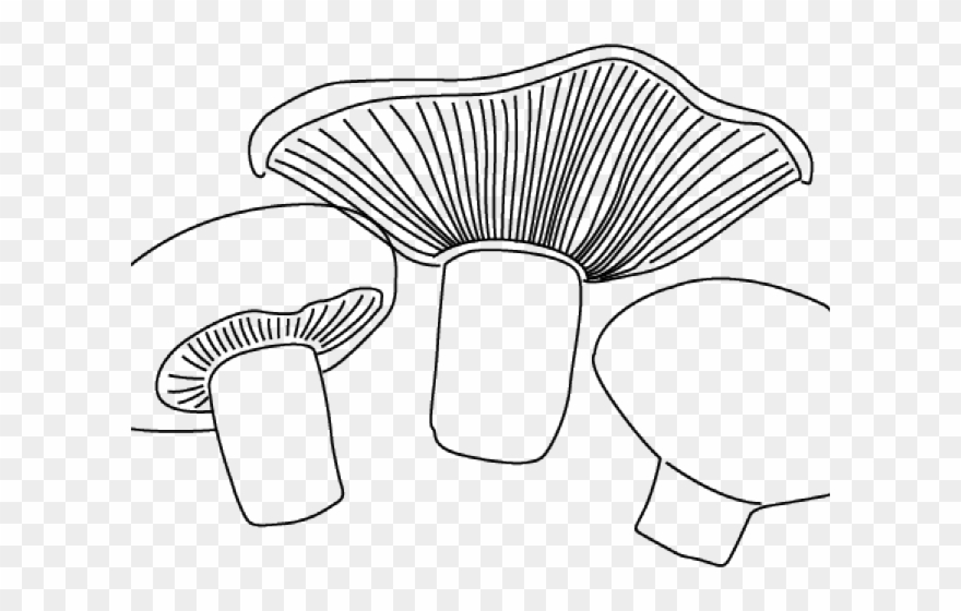 Mushroom Clipart Cooking - Png Download