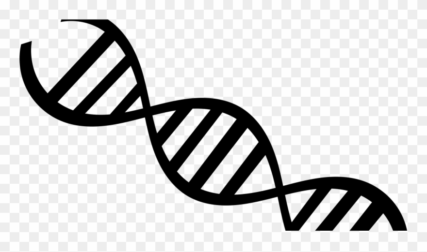 But Since Genetics Only Makes Up For 30%, What Are Clipart
