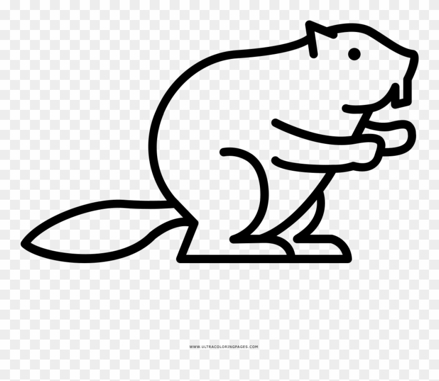 Beaver Page Ultra Pages Ⓒ Clipart