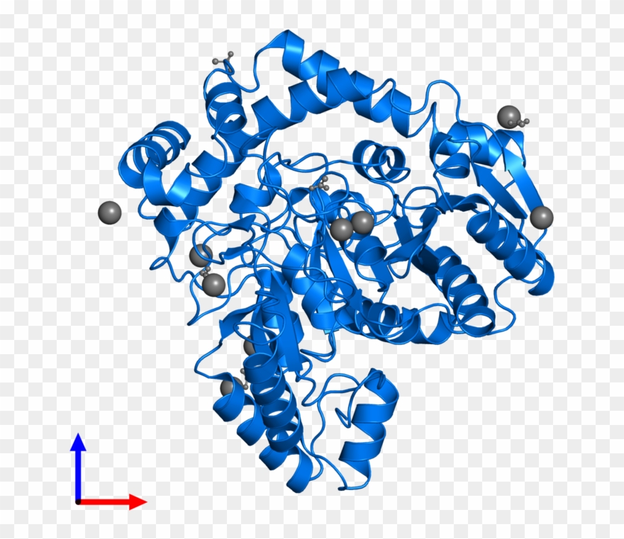 <div Class='caption-body'>pdb Entry 5ac3 Contains 1 Clipart