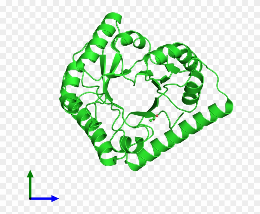 Pdb 3cpg Coloured By Chain And Viewed From The Front Clipart