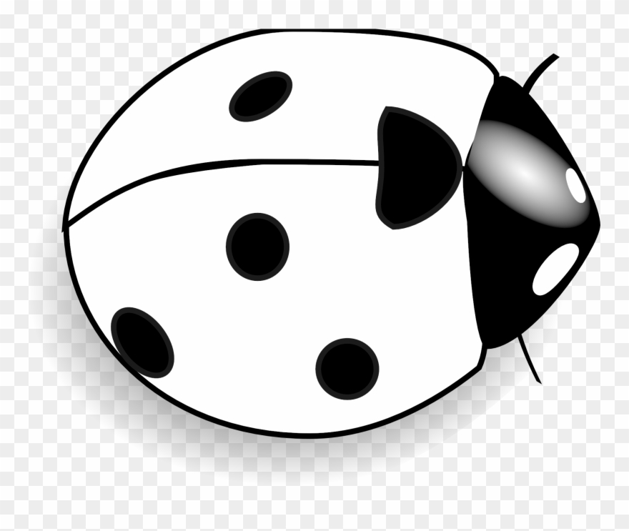 Clipart Of Bugs, Bug And Micro - Png Download