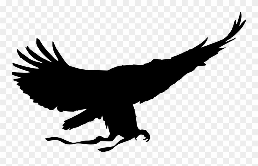 Red Tailed Hawk Clipart Helang - Png Download