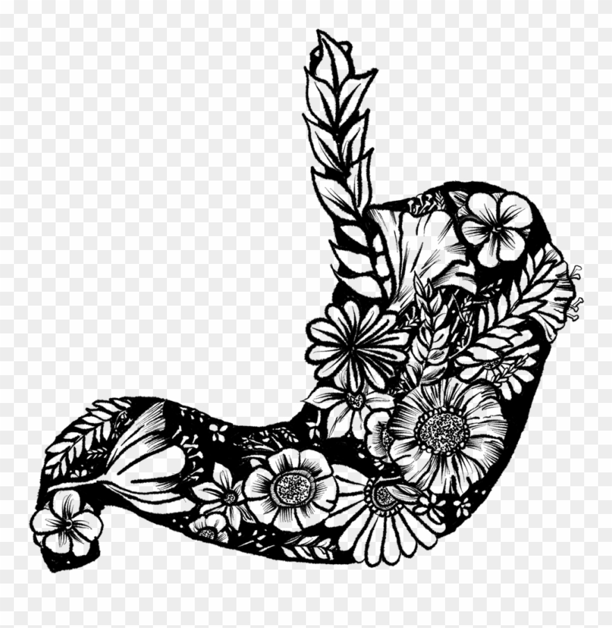 A Collection Of Anatomical Drawings Combined With Plants Clipart