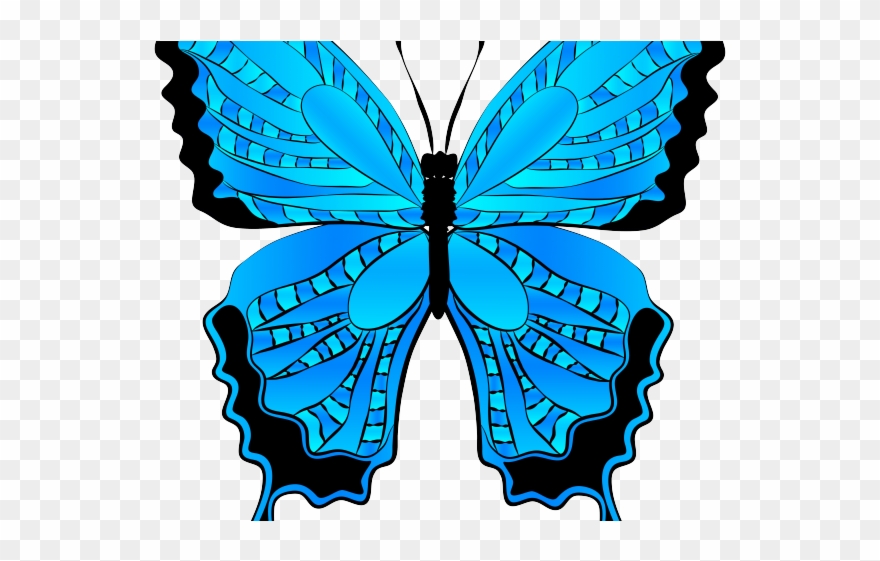 Silk Moth Clipart Blue - Png Download