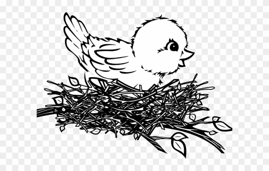 Nest Clipart Sparrow Nest - Png Download