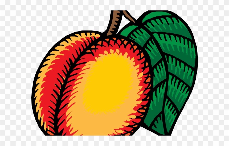 Nectarine Clipart - Png Download