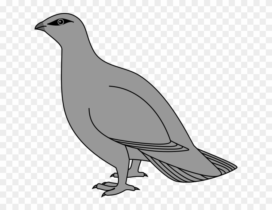 264 × 240 Pixels Clipart
