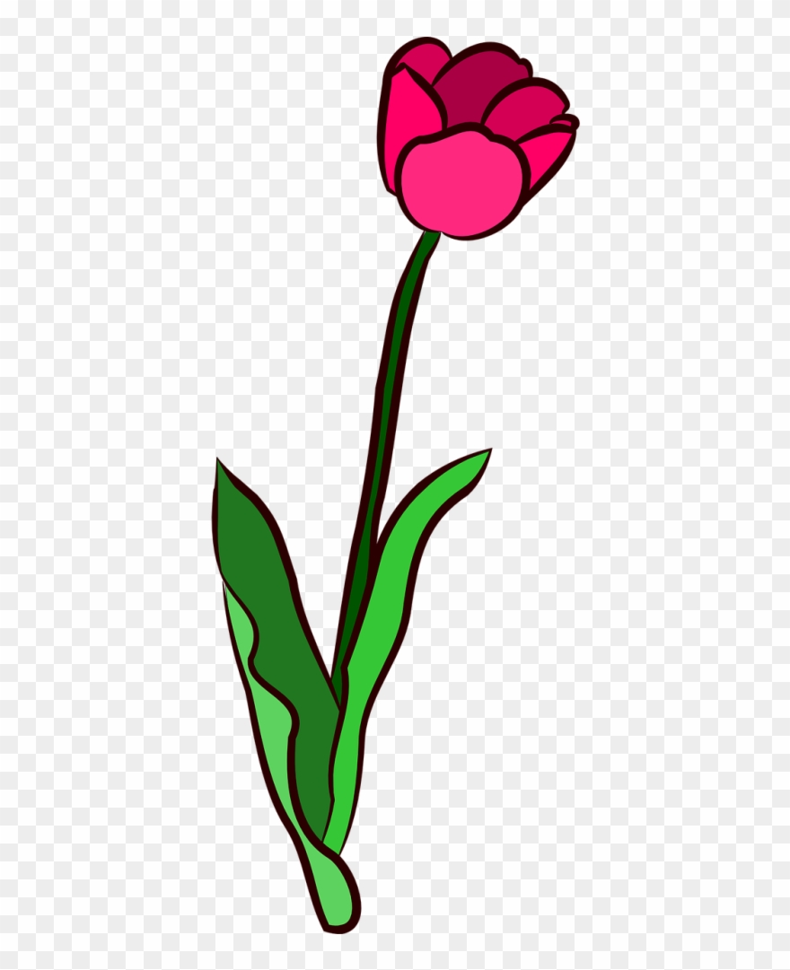 Vector Graphics Clipart