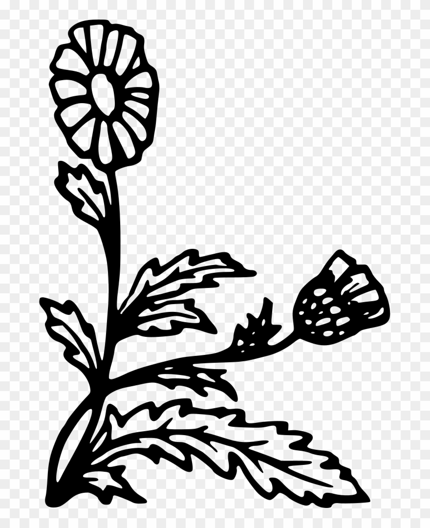 Floral Design Flowering Plant Computer Icons Plant Clipart