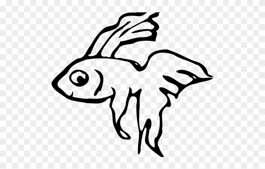 Betta Clipart Beta Fish - Png Download