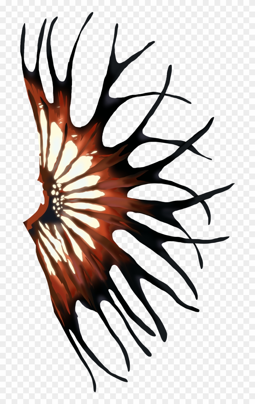 Betta Fish Name Clipart