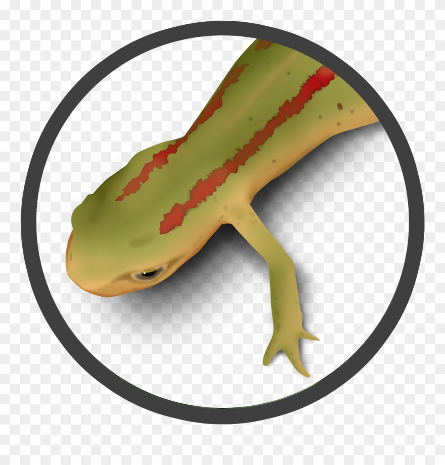 Become A Member Of Clipart