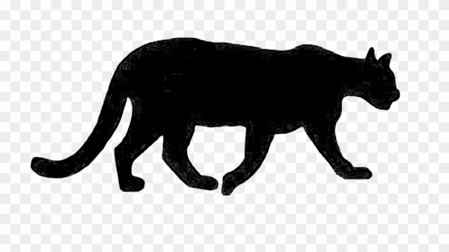 #aphrodite #athena #cat #fullmoon #hephaestus #meow Clipart