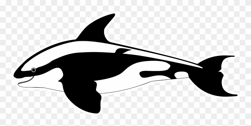 Whale - Clipart