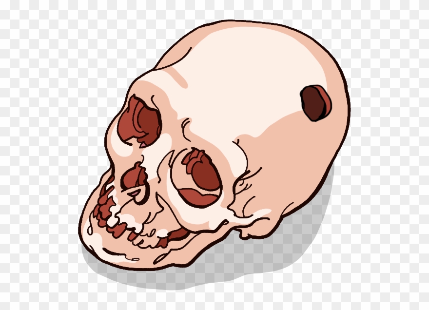 For The Time Being, However, Medicines Derived From Clipart