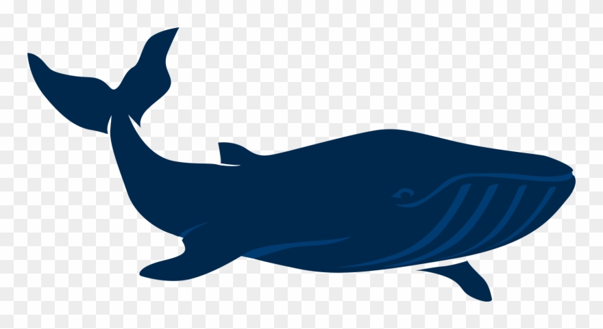 Pediatric Dentistry Of Greenwood Clipart