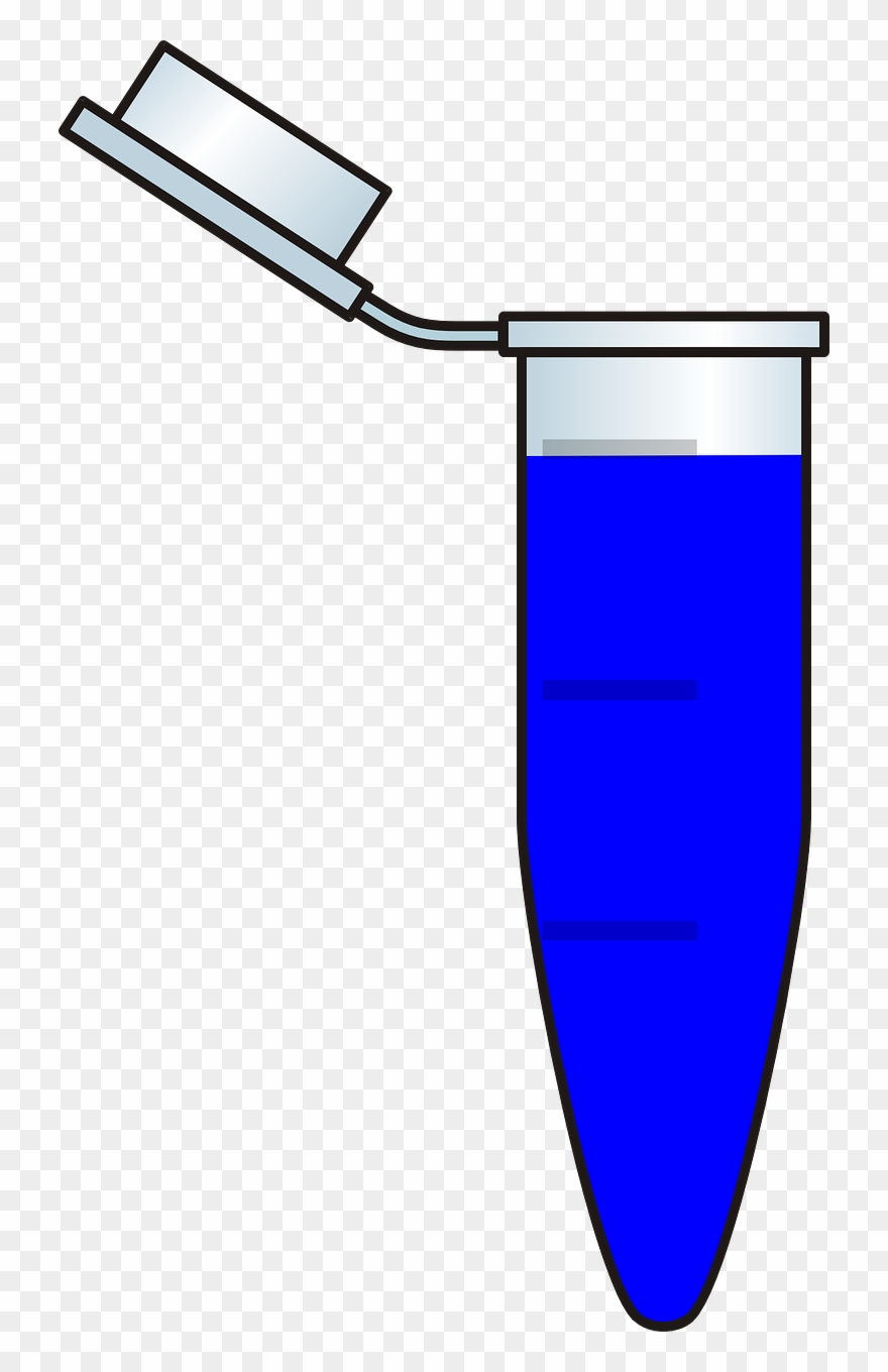 Vector Graphics, Clipart