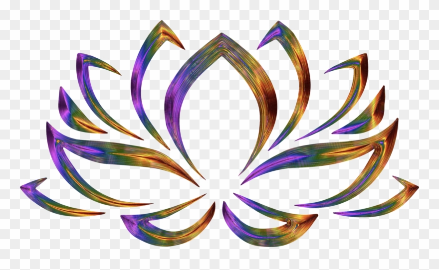 Sacred Lotus Drawing Flower Black And White Free Mercial Clipart