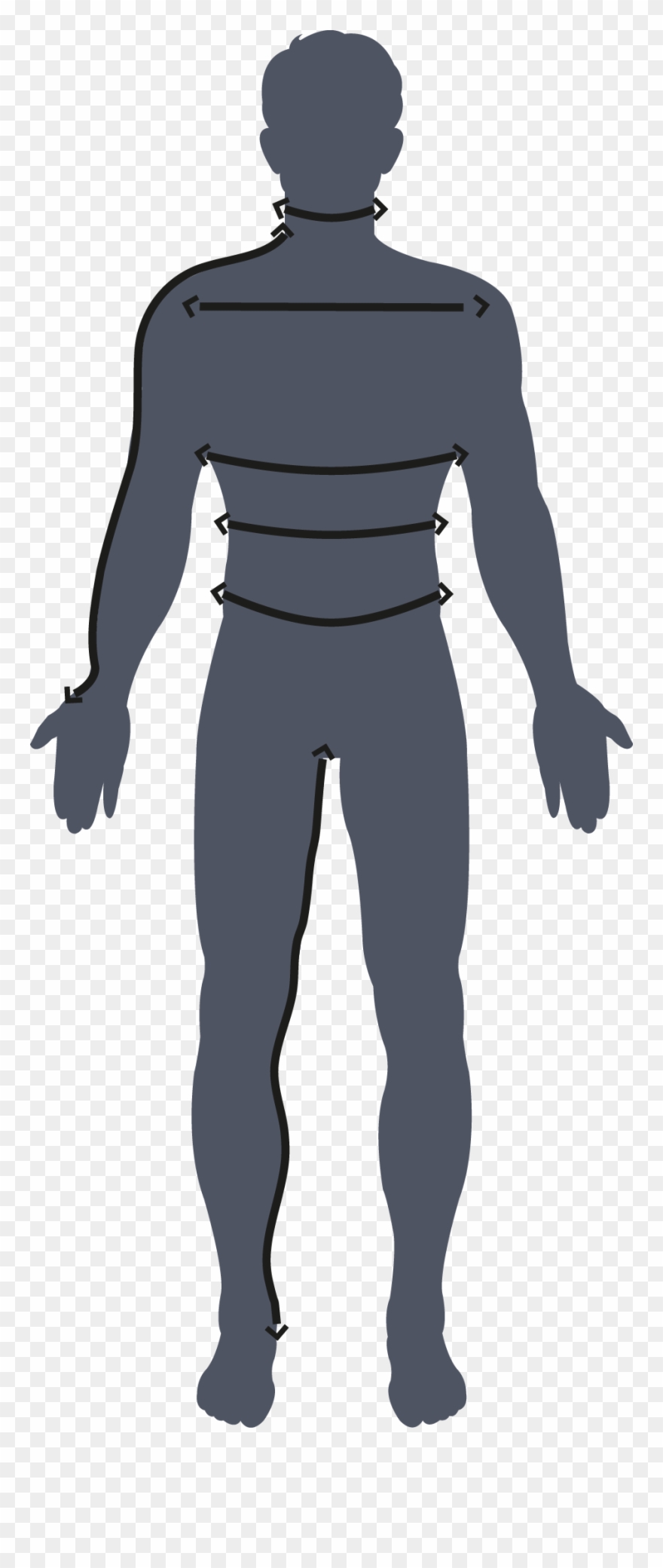 Body Measurements Using Front And Side Images Your Clipart