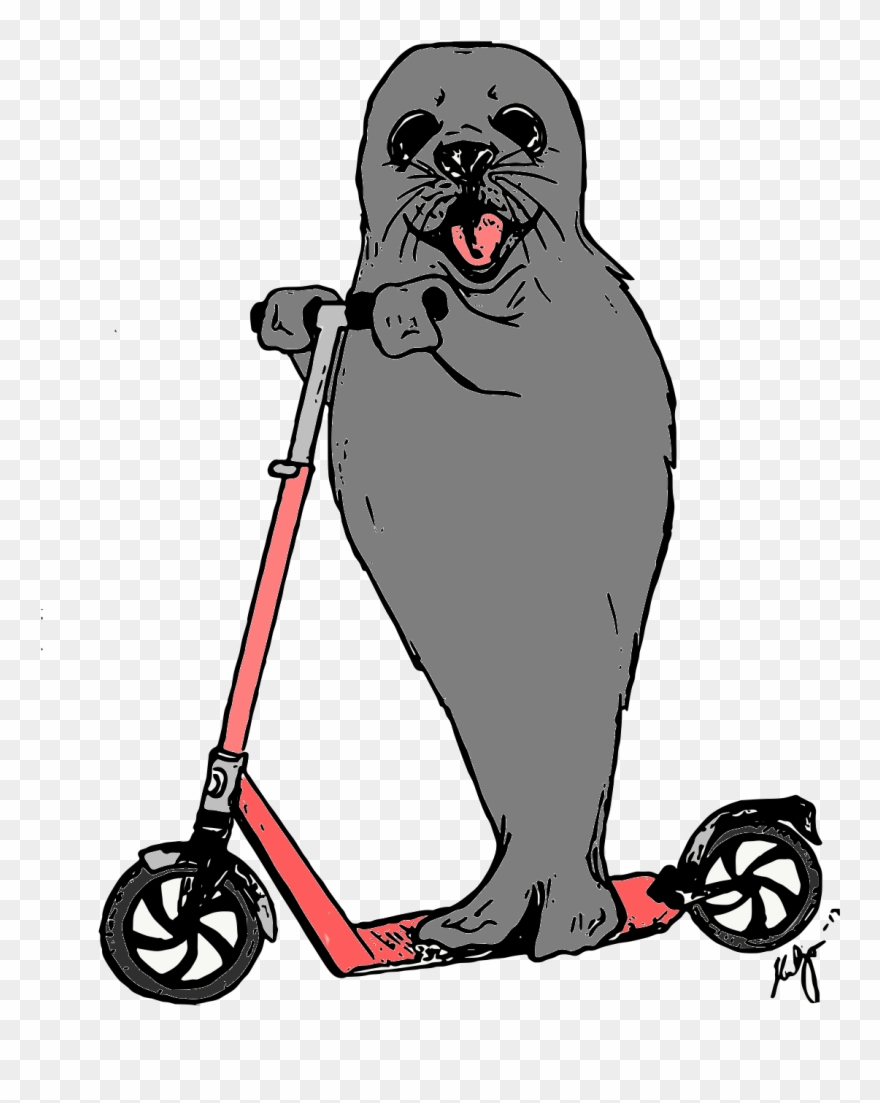 Seal Album On Imgur Clipart