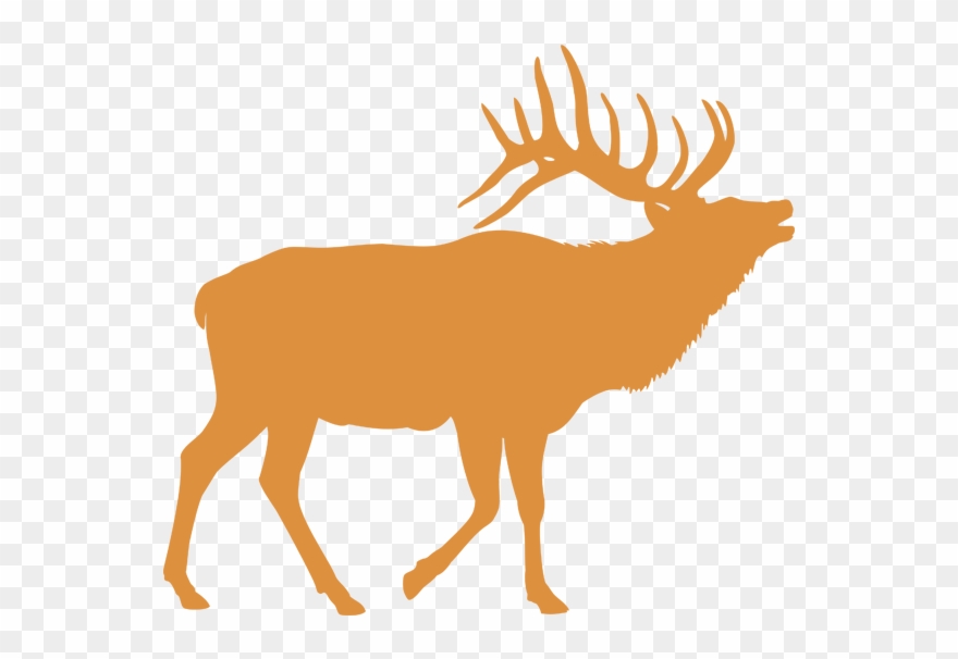 Elk Clipart Mule Deer - Png Download