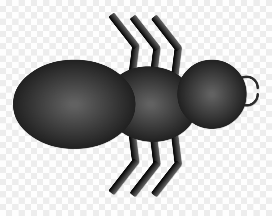 Pictures, Free Photos, Clipart