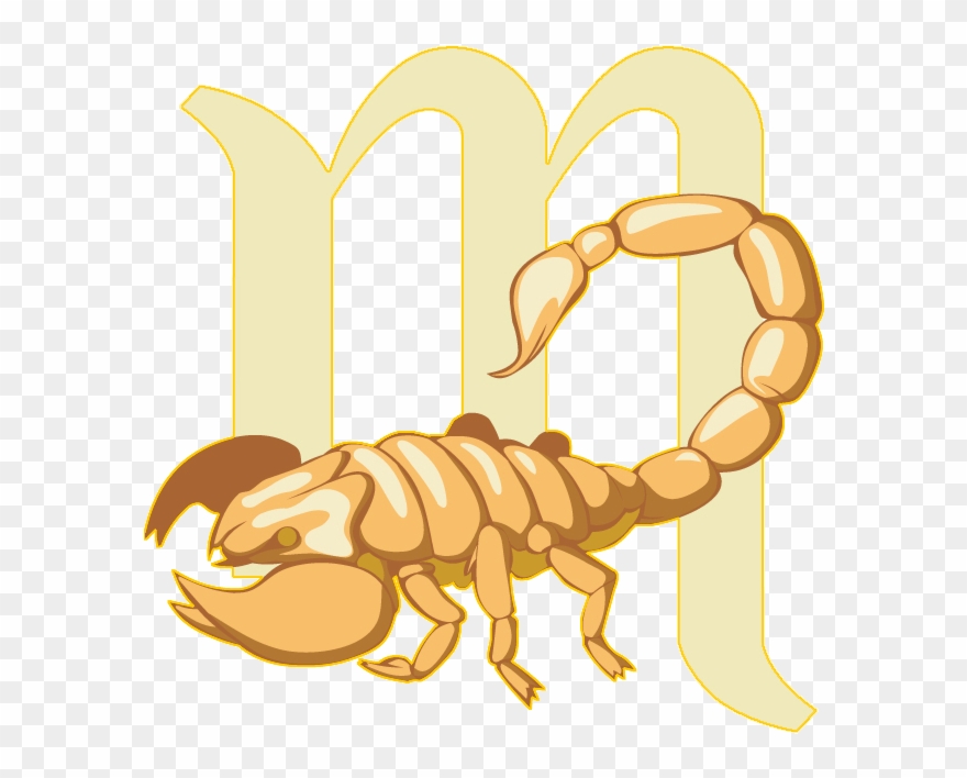 Gemini Vector Scorpio Horoscope Clipart