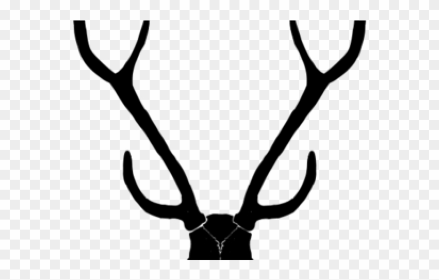 Buck Clipart Antler - Png Download