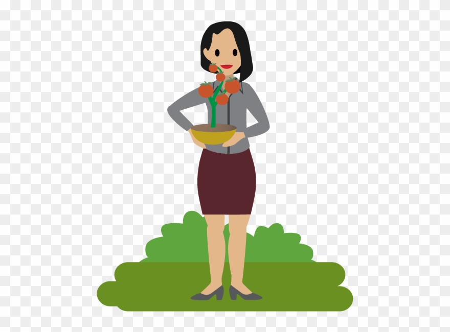 A Person Holding A Tomato Plant Clipart