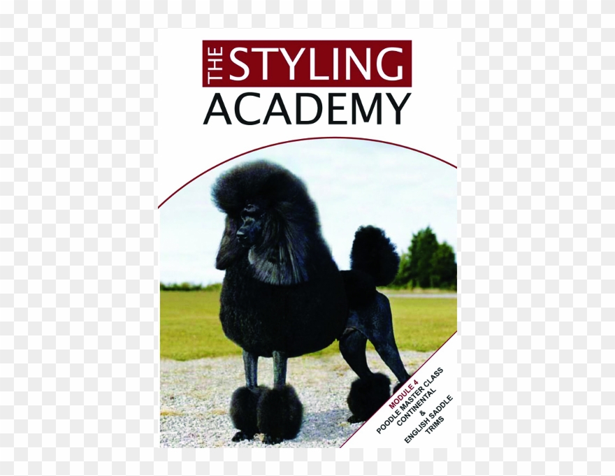 Continental Poodle Cut Clipart