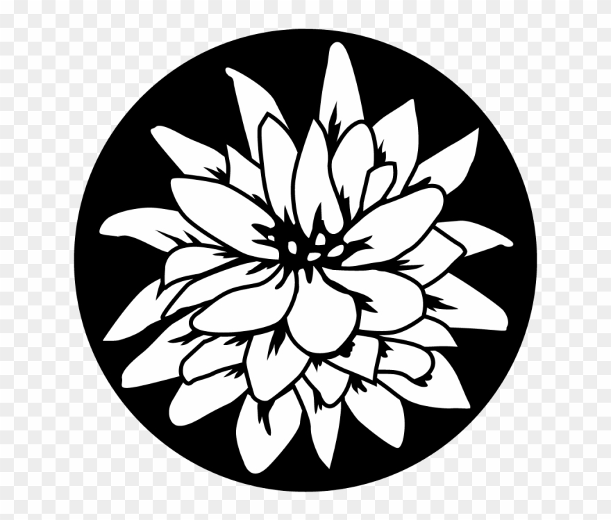 Flowering Lily Clipart