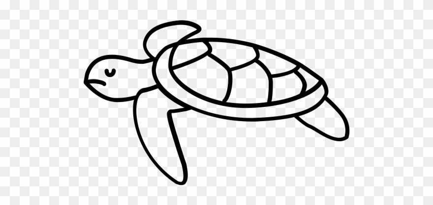 Sea Turtle By Parkjisun From Noun Project Clipart
