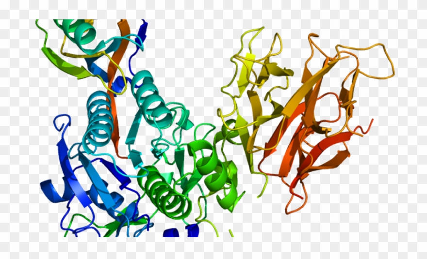 Trapping Pcsk9 To Lower Cholesterol Clipart