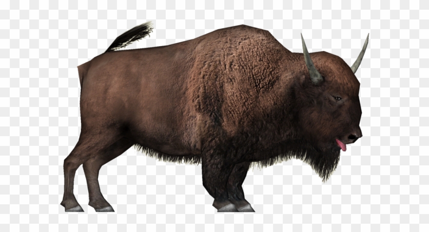 Yak Clipart White Background - Png Download