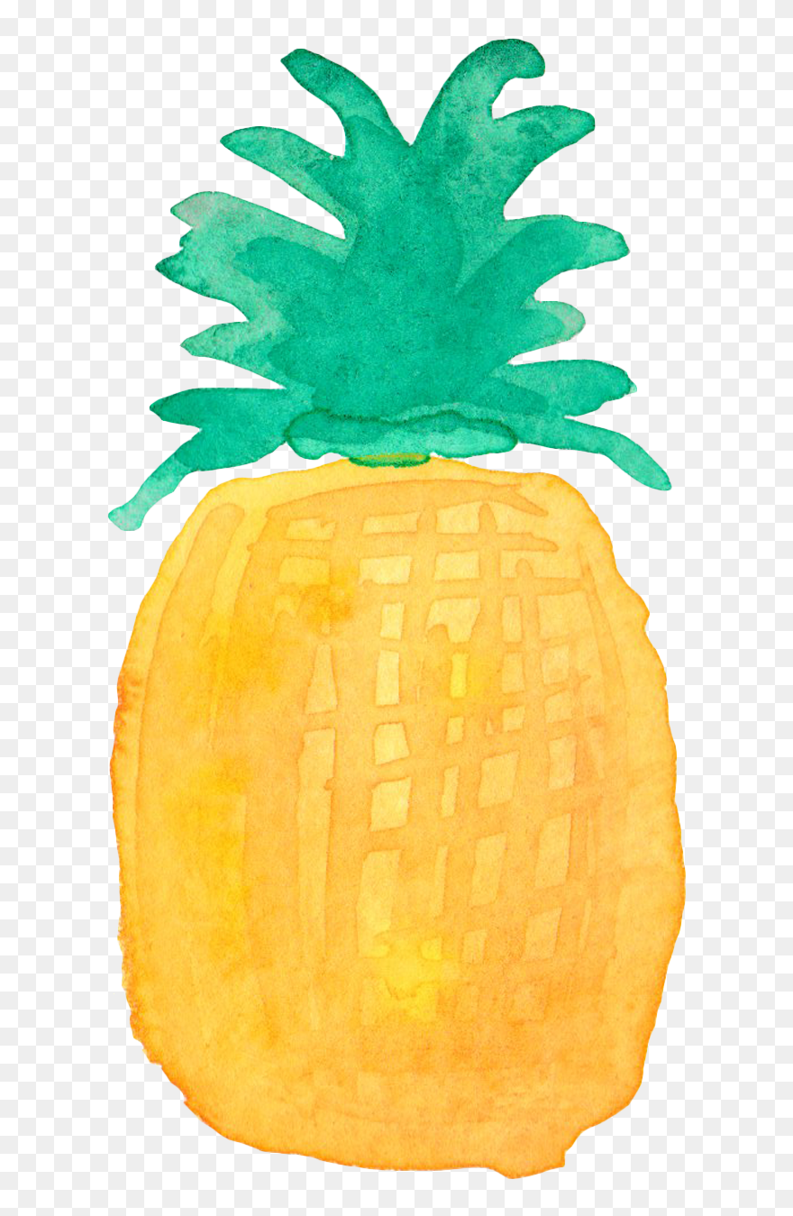 Pineapple Drawing Watercolor Painting Clipart