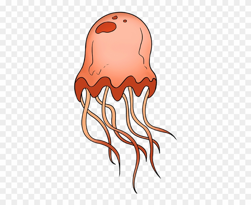How To Draw Jellyfish Clipart