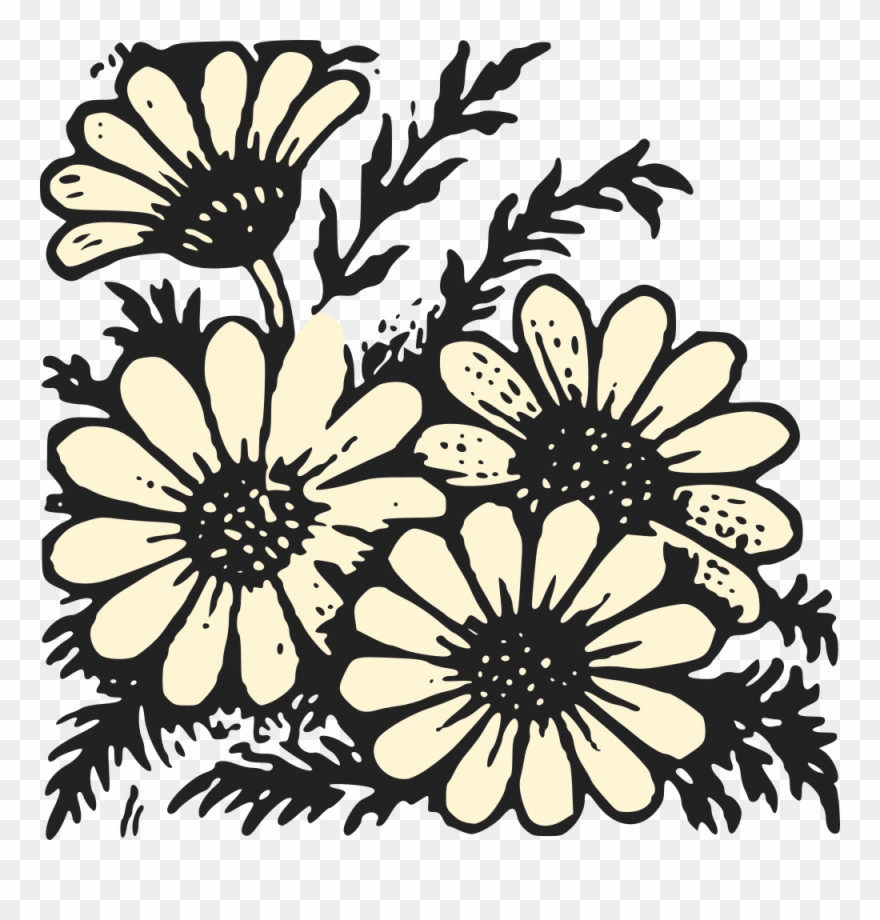 Daisies Clipart