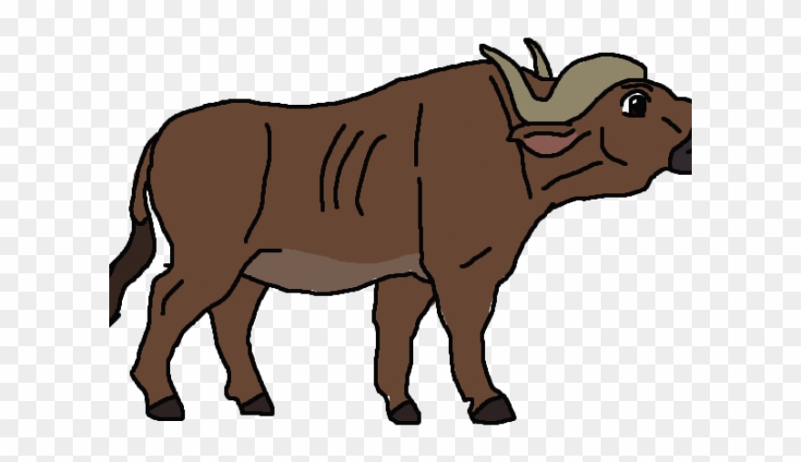 African Buffalo Clipart Wild Buffalo - Png Download