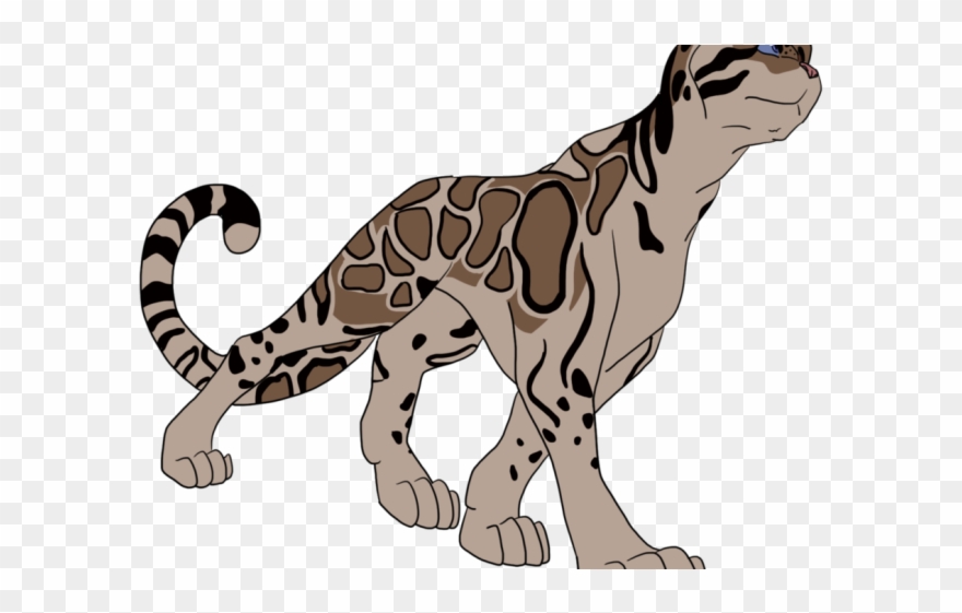 Clouded Leopard Clipart Grey - Png Download