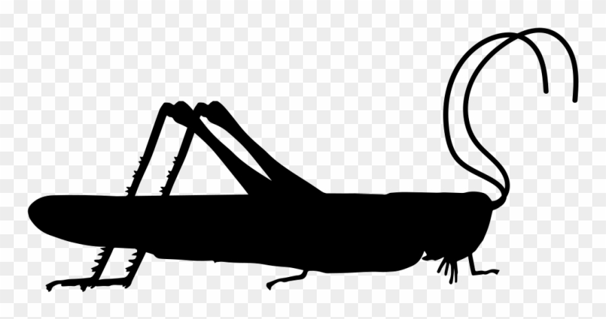 Grasshopper Clipart Svg - Png Download