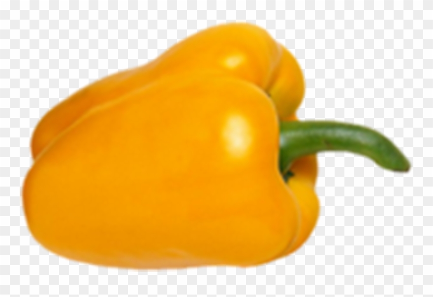 3508 X 2480 3 Clipart