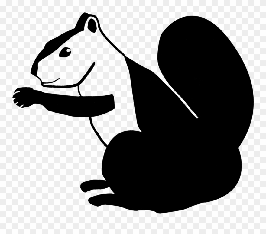 Animal, Squirrel, Sciuridae, Nature, Rodent Clipart