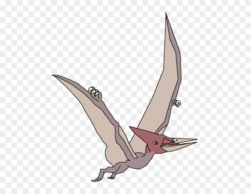 207 × 240 Pixels Clipart