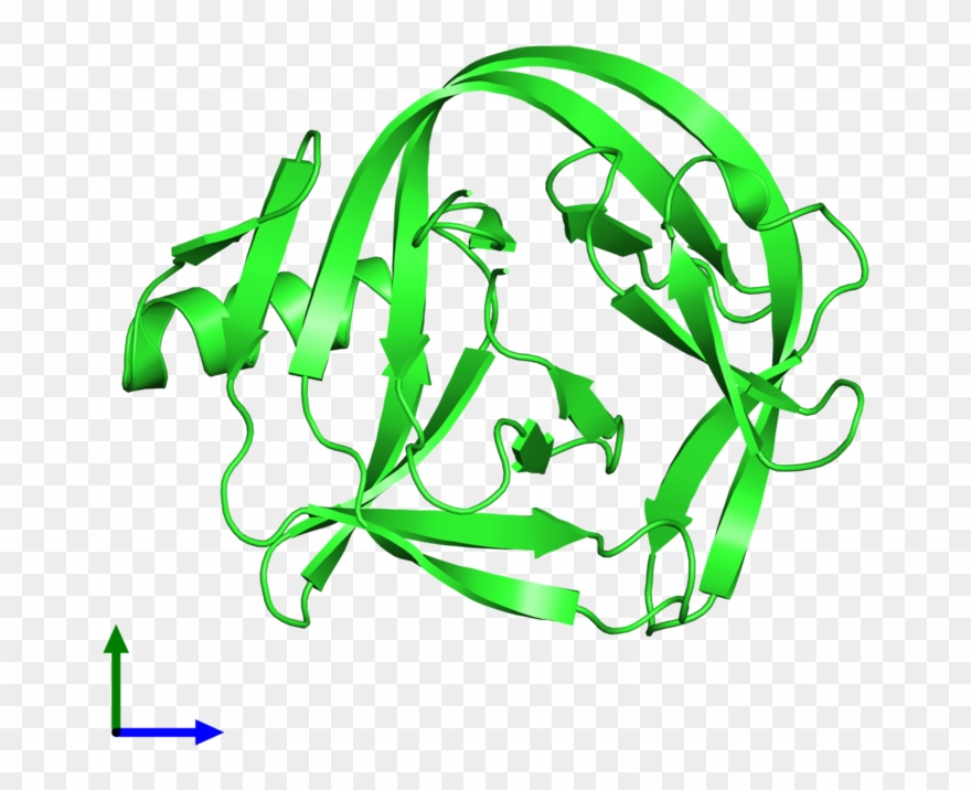 Pdb 4e2u Coloured By Chain And Viewed From The Front Clipart