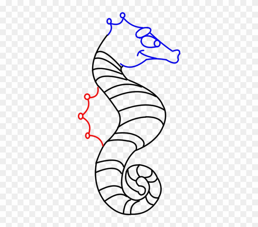 Drawing Seahorse Eyes Clipart