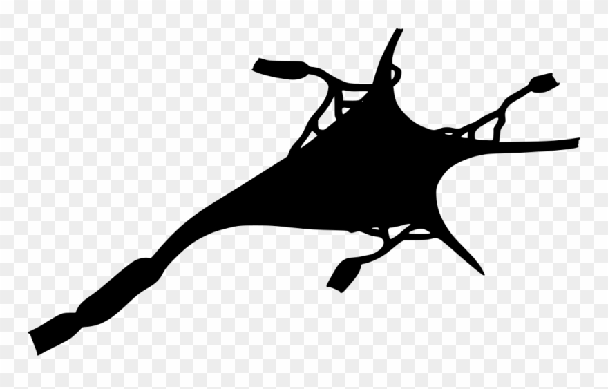 Info Clipart
